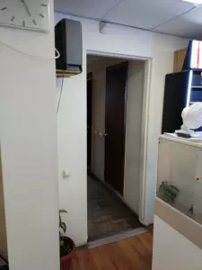 Фотография Василиса 2