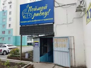 Фотография Ателье 0